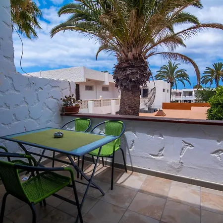 The Great Palm Apartment